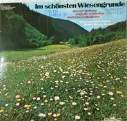 Werner Hollweg - Im Schönsten Wiesengrunde