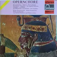 Wiener Staatsopernchor - Wiener Kammerchor - Wiener Symphoniker - Heinrich Hollreiser - Wilhelm Loi - Opernchöre