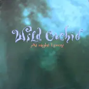 Wild Orchid - At Night I Pray