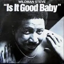 Wildman Steve - Is It Good Baby