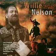 Willie Nelson - Everything But You