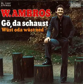 Wolfgang Ambros - Gö, Da Schaust