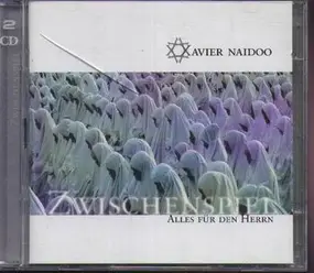 Xavier Naidoo - Zwischenspiel / Alles Für Den Herrn