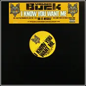Young Buck - I Know You Want Me / Do It Myself
