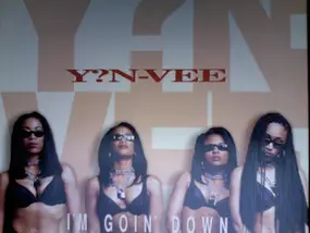 Y.N.V. - I'm Goin' Down