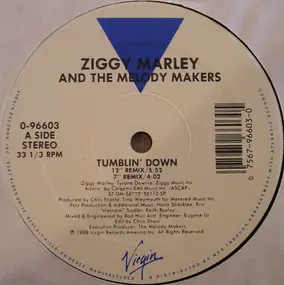 Ziggy Marley & the Melody Makers - Tumblin' Down