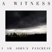 A Witness
