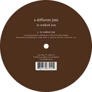 A Different Jimi - In Walked You
