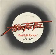 After The Fire - One Rule For You / Joy