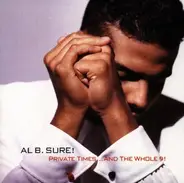 Al B.Sure - Private Times ... and the Whole 9!