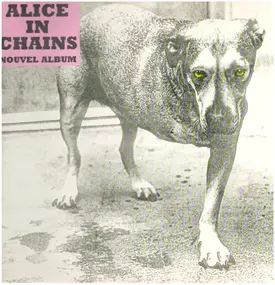 Alice in Chains - Alice in Chains