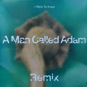 A Man Called Adam - I Want To Know (Remix)