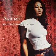 Amerie - Why Don't We Fall In Love (Remixes)