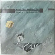 Amina Claudine Myers Trio - Jumping in the Sugar Bowl