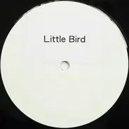 Annie Lennox - Little Bird (House Remix)