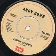 Andy Bown - Another Shipwreck