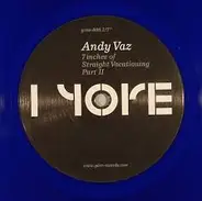 Andy Vaz - 7inches Of Straight Vacationing Part II