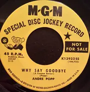 André Popp - Why Say Goodbye