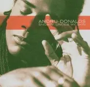 Andru Donalds - Snowin' Under My Skin
