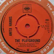 Anita Harris - The Playground