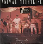 Animal Nightlife - Shangri-la