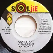 Anthony B - Can't Stray