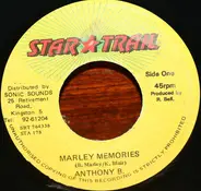 Anthony B - Marley Memories