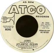 Atlantic Ocean - Jaws