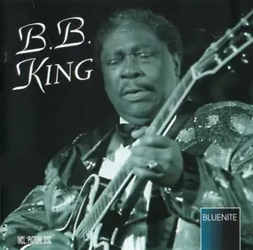 B.B King - Blues You Can Use