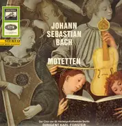 Johann Sebastian Bach / Windsbacher Knabenchor, Karl Friedrich Beringer - Motetten