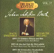 Bach - Cantatas for the 2nd & 3rd Day of Pentecost (BWV 173, 68 & 184)