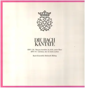 J. S. Bach - Die Bach Kantate: BWV 138 / BWV 95