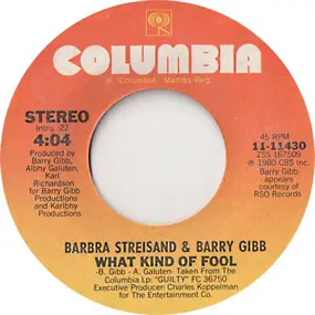 Barbra Streisand - What Kind Of Fool