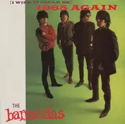 The Barracudas