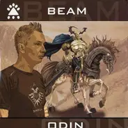 Beam - ODIN