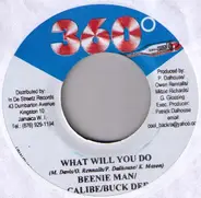 Beenie Man / Calibe / Buck Dee - What Will You Do