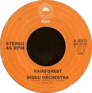 Biddu Orchestra - Rainforest
