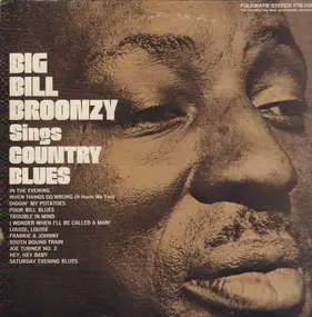 Big Bill Broonzy - Sings Country Blues