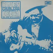 Big Joe Williams - Blues From The Mississippi Delta