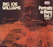 Big Joe Williams - Portraits In Blues, Vol. 7