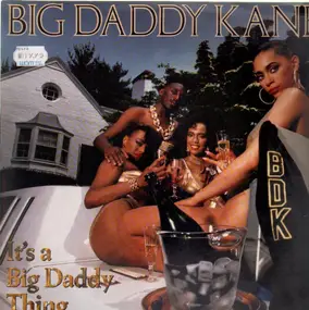 Big Daddy Kane - It's a Big Daddy Thing