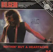 Bilgeri - Nothin' but a heartache / We've got it