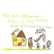 Bill Wells/Aidan Moffat - The Most Important Place in the World