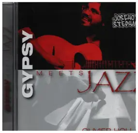 Bireli Lagrene - Gypsy Meets Jazz