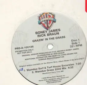 Boney James - Grazin' In The Grass