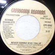 Bonnie Bramlett And Dobie Gray - Never Gonna Give You Up
