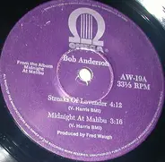 Bob Anderson - Streets Of Lavender