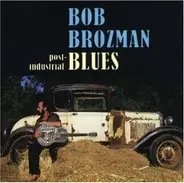 Bob Brozman - Post-Industrial Blues