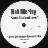 Bob Marley - Soul Shakedown