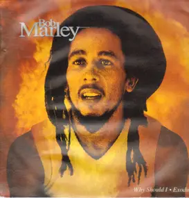 Bob Marley - Why Should I